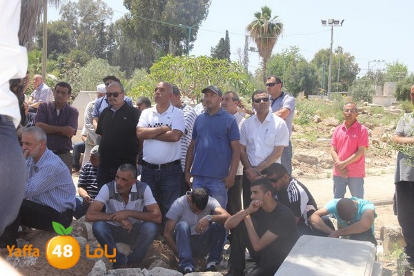 jaanzaa 0501 (43).JPG